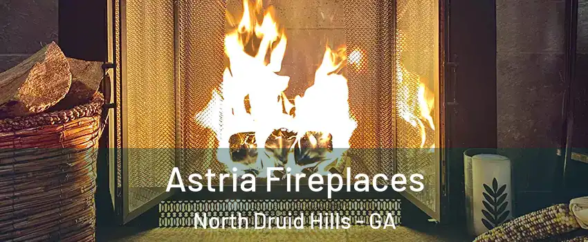 Astria Fireplaces North Druid Hills - GA