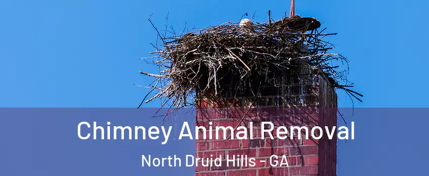  Chimney Animal Removal North Druid Hills - GA
