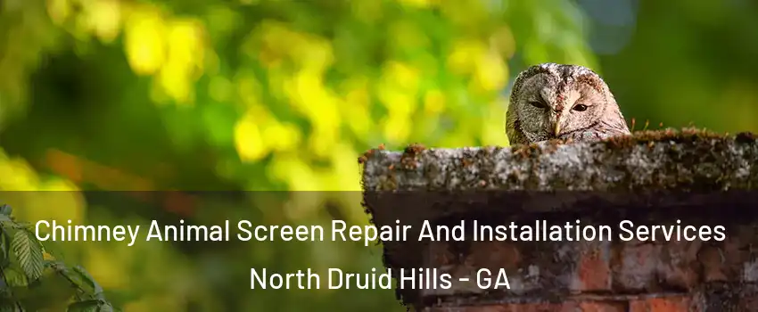  Chimney Animal Screen Repair And Installation Services North Druid Hills - GA