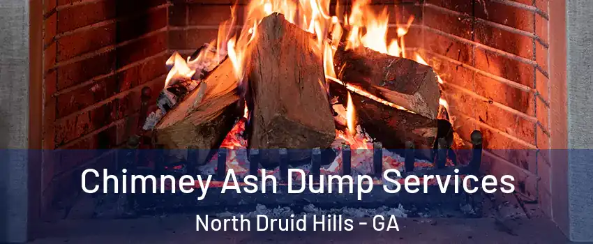  Chimney Ash Dump Services North Druid Hills - GA