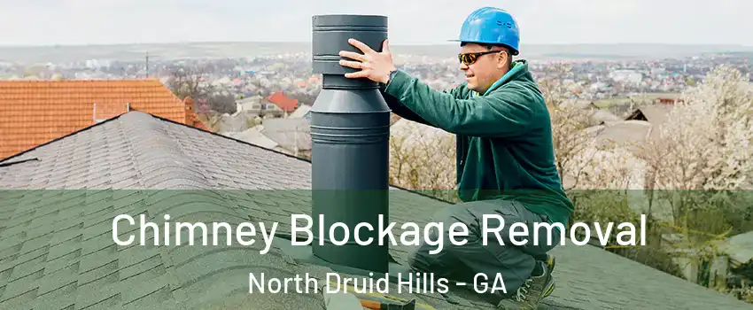  Chimney Blockage Removal North Druid Hills - GA