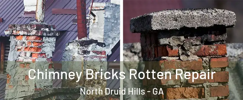  Chimney Bricks Rotten Repair North Druid Hills - GA