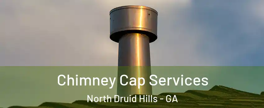  Chimney Cap Services North Druid Hills - GA