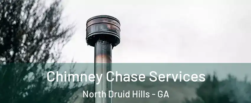  Chimney Chase Services North Druid Hills - GA