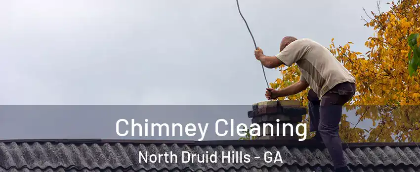  Chimney Cleaning North Druid Hills - GA