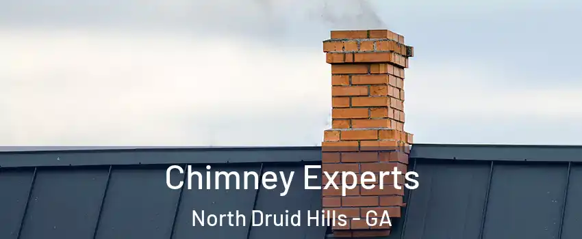 Chimney Experts North Druid Hills - GA