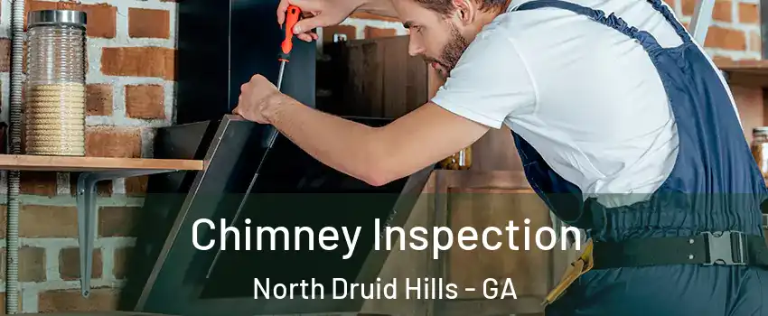 Chimney Inspection North Druid Hills - GA