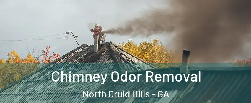  Chimney Odor Removal North Druid Hills - GA