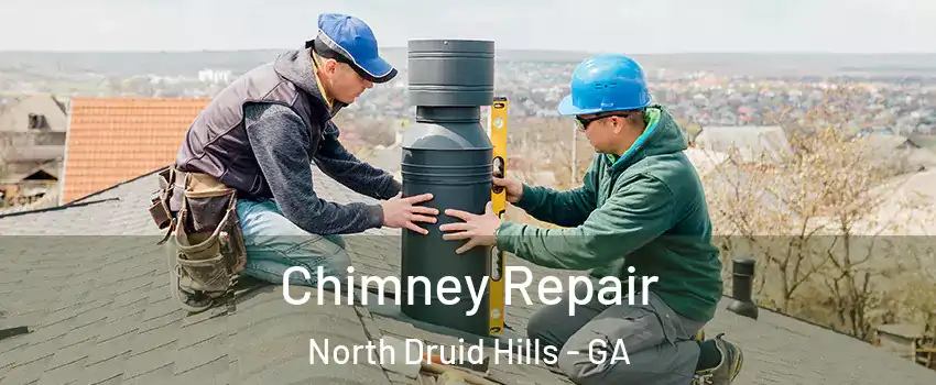  Chimney Repair North Druid Hills - GA