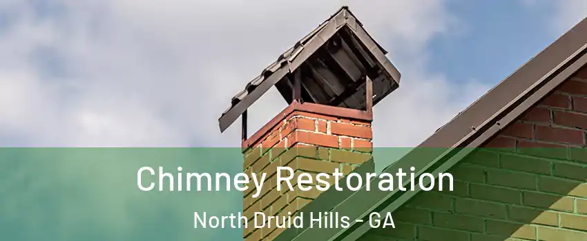  Chimney Restoration North Druid Hills - GA