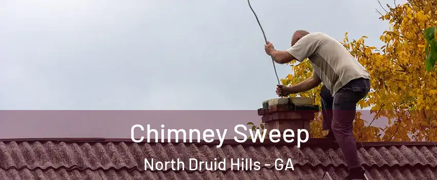  Chimney Sweep North Druid Hills - GA