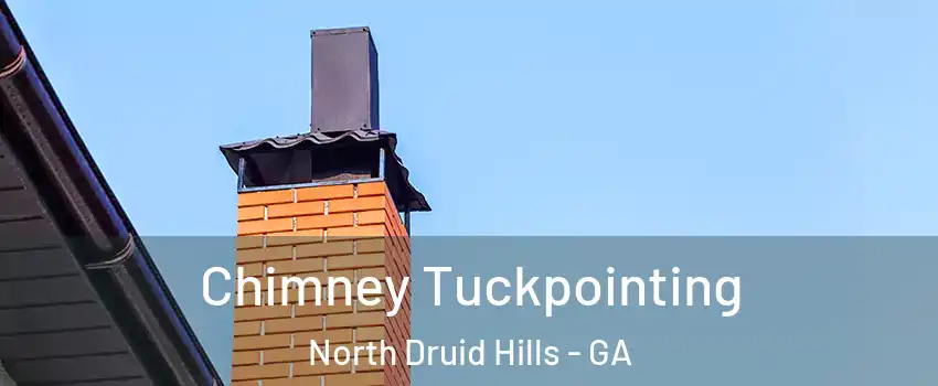  Chimney Tuckpointing North Druid Hills - GA