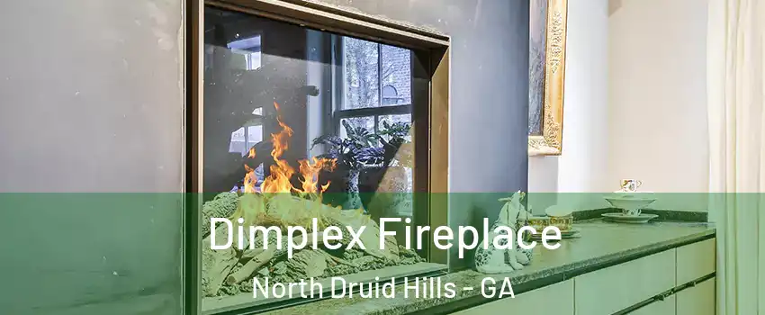  Dimplex Fireplace North Druid Hills - GA