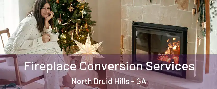  Fireplace Conversion Services North Druid Hills - GA