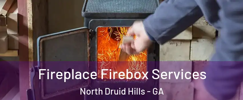  Fireplace Firebox Services North Druid Hills - GA