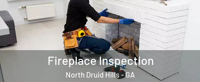  Fireplace Inspection North Druid Hills - GA