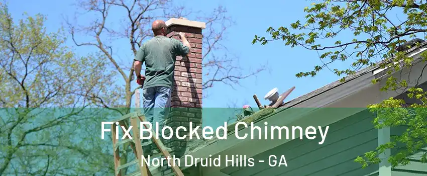  Fix Blocked Chimney North Druid Hills - GA