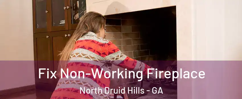  Fix Non-Working Fireplace North Druid Hills - GA