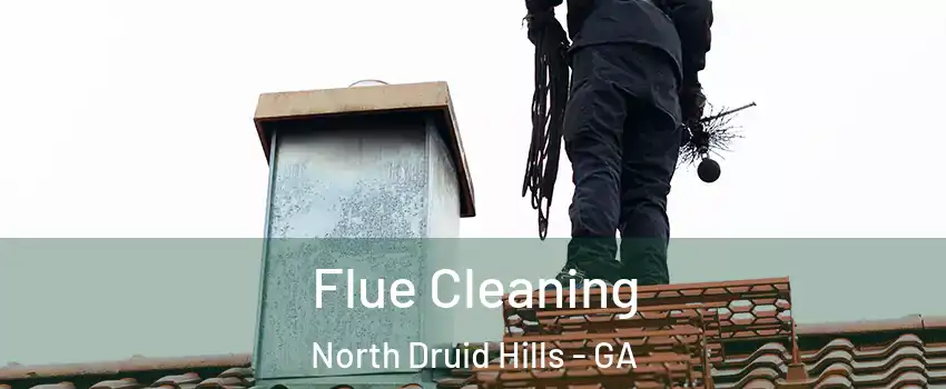  Flue Cleaning North Druid Hills - GA