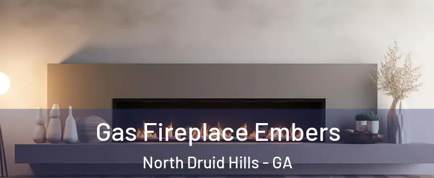  Gas Fireplace Embers North Druid Hills - GA
