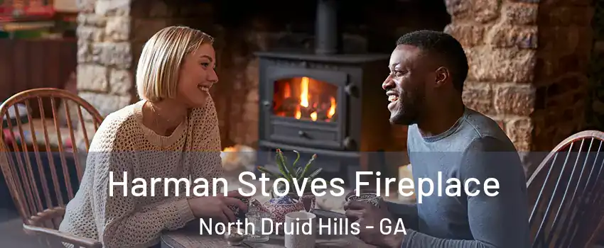  Harman Stoves Fireplace North Druid Hills - GA