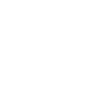Professional Chimney Flue Installation in North Druid Hills, Georgia