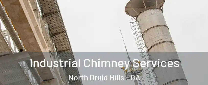  Industrial Chimney Services North Druid Hills - GA