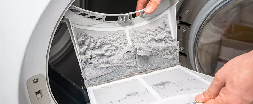 Best Dryer Lint Removal Company in North Druid Hills, Georgia