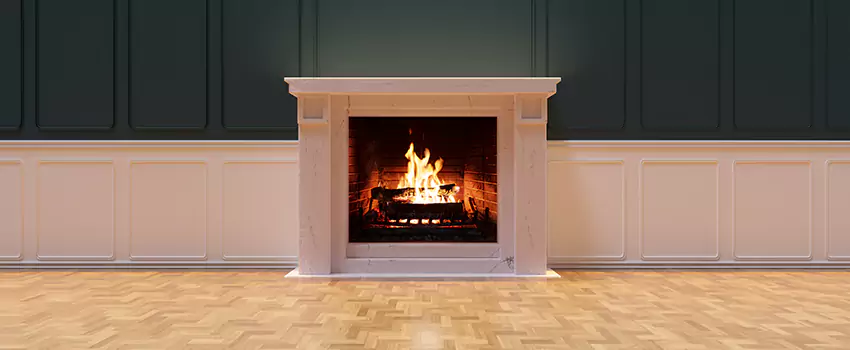 Napoleon Electric Fireplaces Inspection Service in North Druid Hills, Georgia