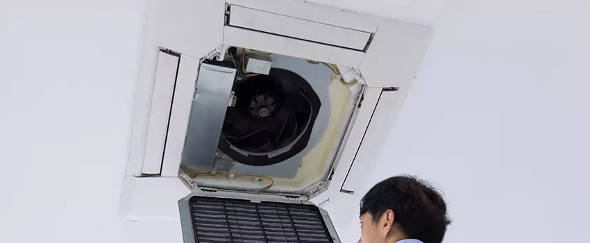 Benefits of Professional Air Duct Cleaning in North Druid Hills, Georgia