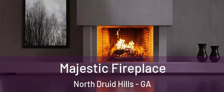  Majestic Fireplace North Druid Hills - GA
