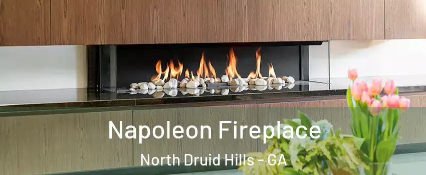  Napoleon Fireplace North Druid Hills - GA
