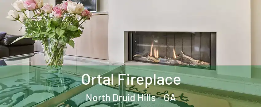  Ortal Fireplace North Druid Hills - GA
