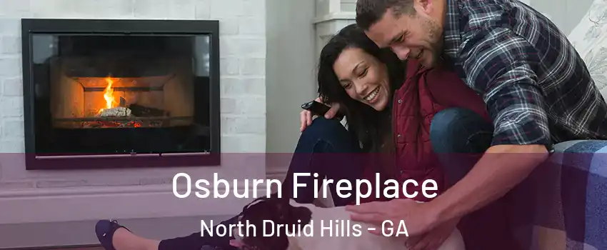  Osburn Fireplace North Druid Hills - GA