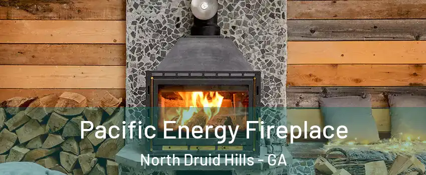  Pacific Energy Fireplace North Druid Hills - GA