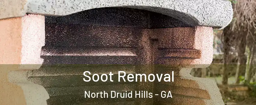  Soot Removal North Druid Hills - GA