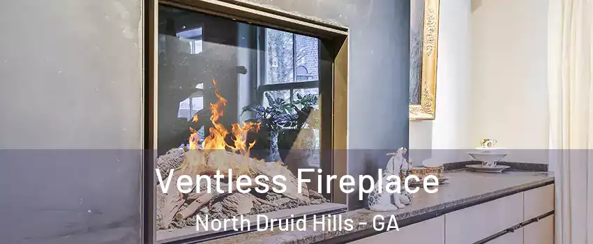  Ventless Fireplace North Druid Hills - GA